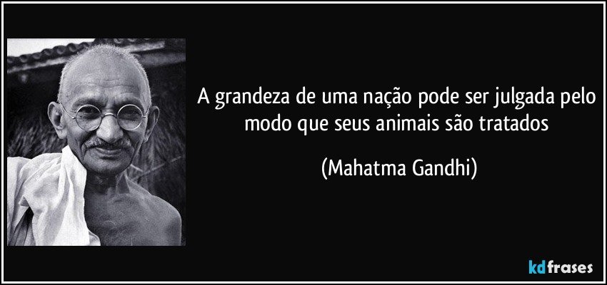 A grandeza de uma nação pode ser julgada pelo modo que seus animais são tratados (Mahatma Gandhi)