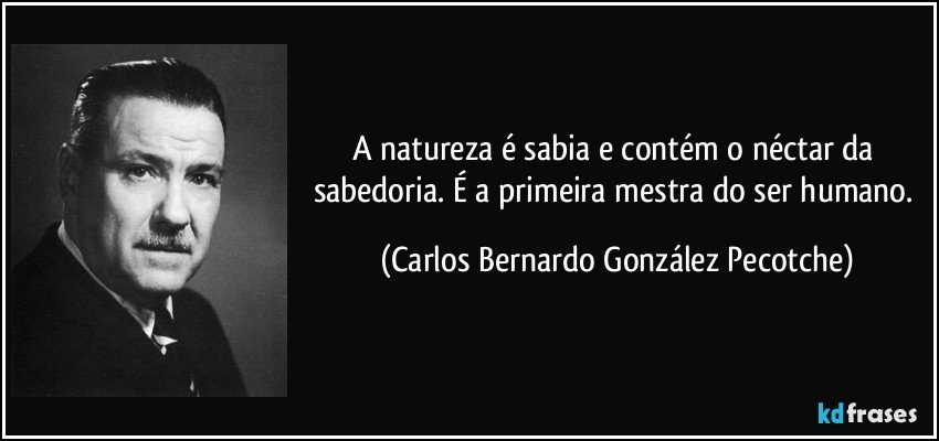 A natureza é sabia e contém o néctar da sabedoria. É a primeira mestra do ser humano. (Carlos Bernardo González Pecotche)