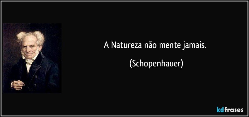 A Natureza não mente jamais. (Schopenhauer)
