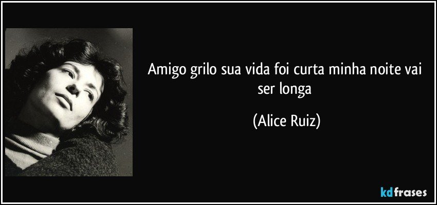 amigo grilo sua vida foi curta minha noite vai ser longa (Alice Ruiz)