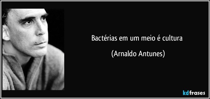 Bactérias em um meio é cultura (Arnaldo Antunes)