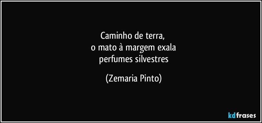 caminho de terra, 
 o mato à margem exala 
 perfumes silvestres (Zemaria Pinto)
