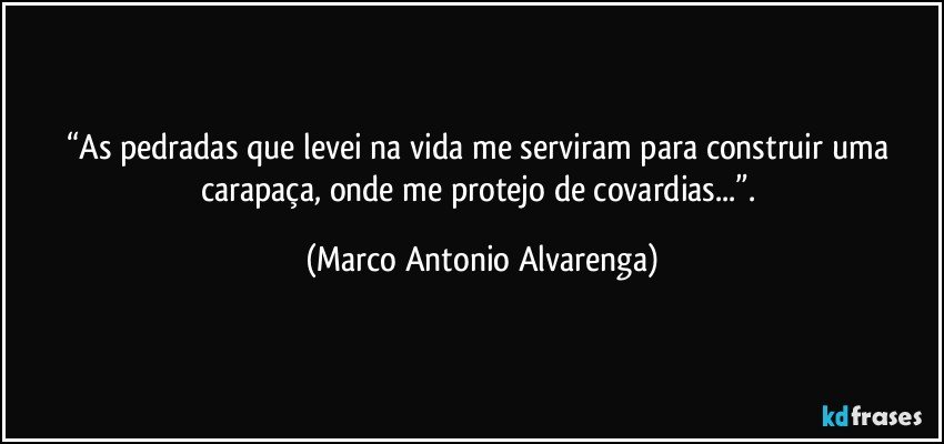“As pedradas que levei na vida me serviram para construir uma carapaça, onde me protejo de covardias...”. (Marco Antonio Alvarenga)