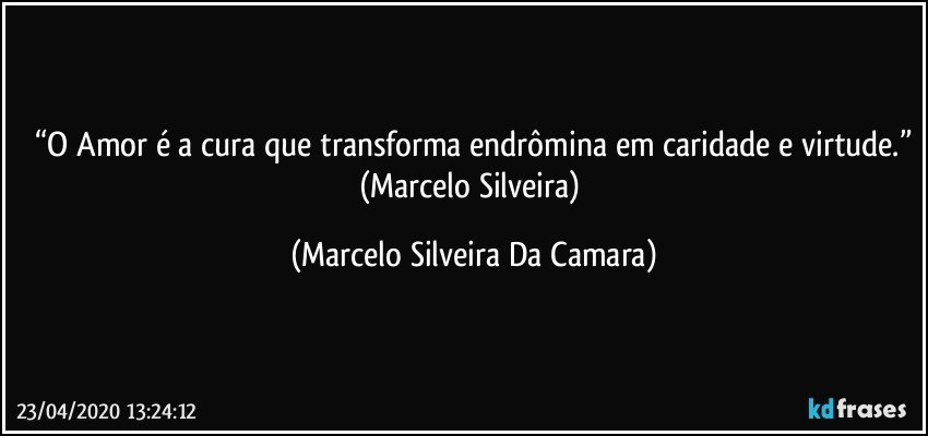 “O Amor é a cura que transforma endrômina em caridade e virtude.”
(Marcelo Silveira) (Marcelo Silveira Da Camara)