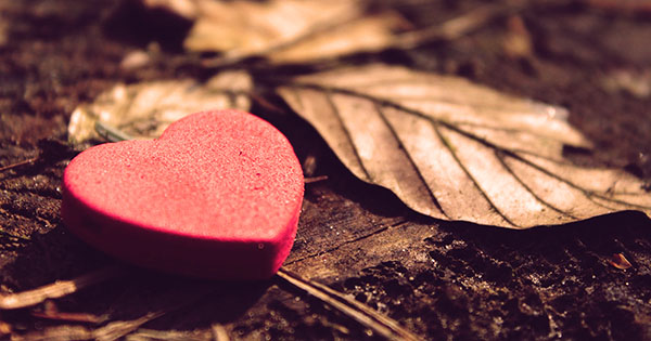 12 frases românticas para o Dia dos Namorados