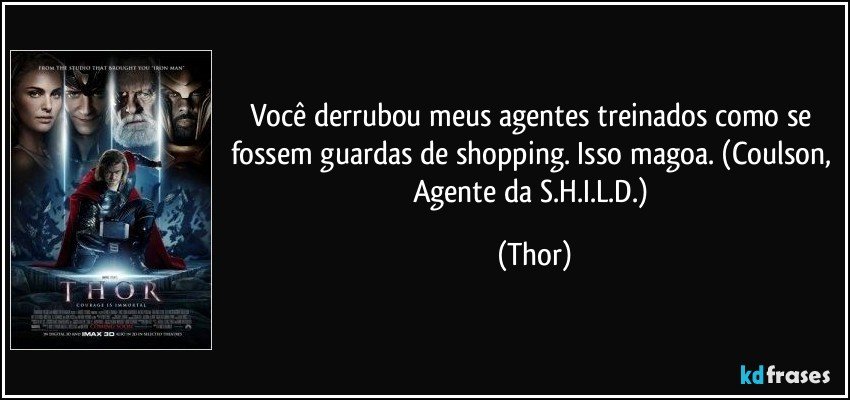Você derrubou meus agentes treinados como se fossem guardas de shopping. Isso magoa. (Coulson, Agente da S.H.I.L.D.) (Thor)