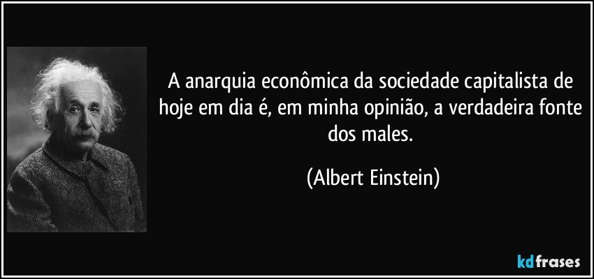 A anarquia econômica da sociedade capitalista de hoje em dia é, em minha opinião, a verdadeira fonte dos males. (Albert Einstein)