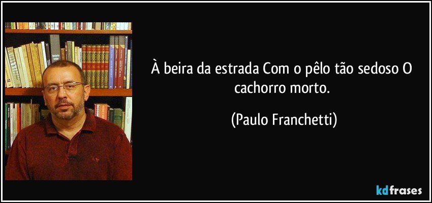 À beira da estrada Com o pêlo tão sedoso O cachorro morto. (Paulo Franchetti)