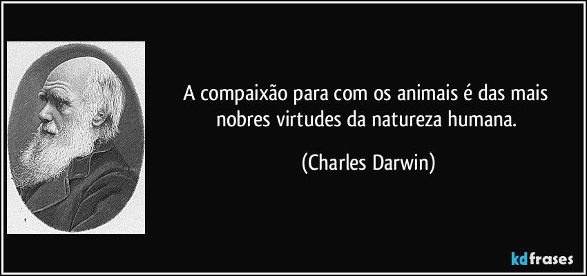 A compaixão para com os animais é das mais nobres virtudes da natureza humana. (Charles Darwin)