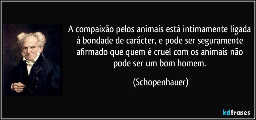 A compaixão pelos animais está intimamente ligada à bondade de carácter, e pode ser seguramente afirmado que quem é cruel com os animais não pode ser um bom homem. (Schopenhauer)
