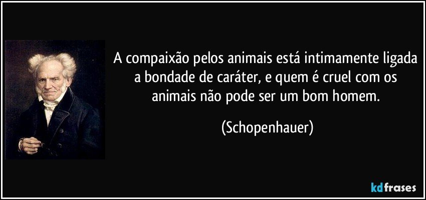 A compaixão pelos animais está intimamente ligada a bondade de caráter, e quem é cruel com os animais não pode ser um bom homem. (Schopenhauer)