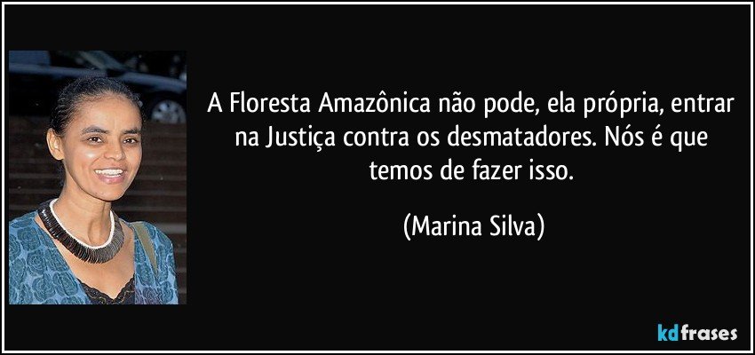 A Floresta Amazônica não pode, ela própria, entrar na Justiça contra os desmatadores. Nós é que temos de fazer isso. (Marina Silva)