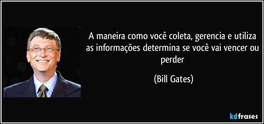 A maneira como você coleta, gerencia e utiliza as informações determina se você vai vencer ou perder (Bill Gates)