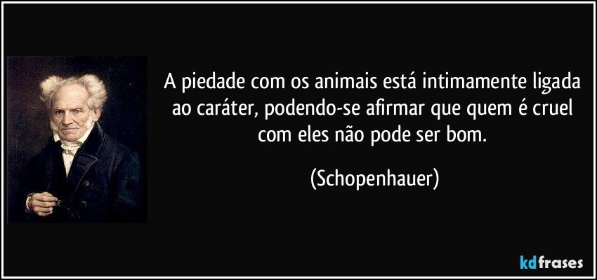 A piedade com os animais está intimamente ligada ao caráter, podendo-se afirmar que quem é cruel com eles não pode ser bom. (Schopenhauer)
