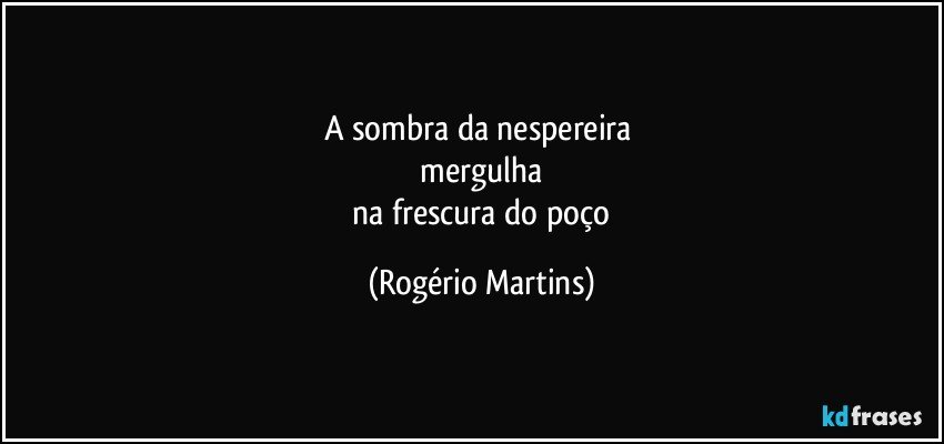 a sombra da nespereira 
 mergulha 
 na frescura do poço (Rogério Martins)