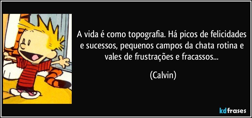 A vida é como topografia. Há picos de felicidades e sucessos, pequenos campos da chata rotina e vales de frustrações e fracassos... (Calvin)