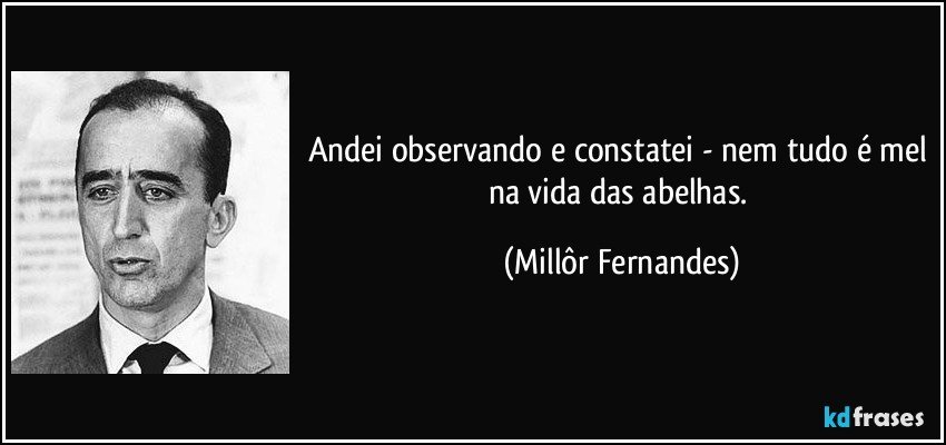 Andei observando e constatei - nem tudo é mel na vida das abelhas. (Millôr Fernandes)