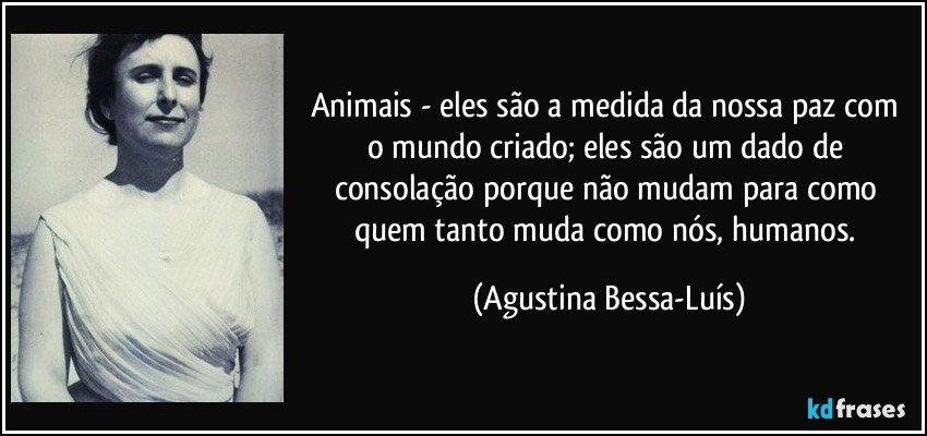 Animais - eles são a medida da nossa paz com o mundo criado; eles são um dado de consolação porque não mudam para como quem tanto muda como nós, humanos. (Agustina Bessa-Luís)