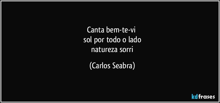 canta bem-te-vi 
 sol por todo o lado 
 natureza sorri (Carlos Seabra)