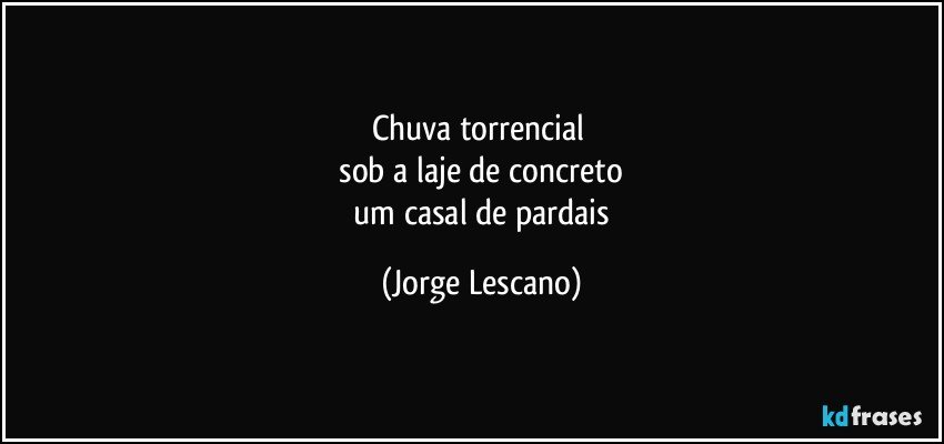 chuva torrencial 
 sob a laje de concreto 
 um casal de pardais (Jorge Lescano)