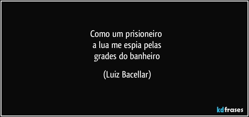 Como um prisioneiro 
 a lua me espia pelas 
 grades do banheiro (Luiz Bacellar)