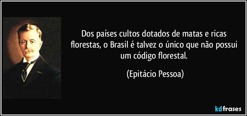 Dos países cultos dotados de matas e ricas florestas, o Brasil é talvez o único que não possui um código florestal. (Epitácio Pessoa)