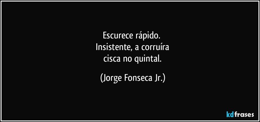 Escurece rápido. 
 Insistente, a corruíra 
 cisca no quintal. (Jorge Fonseca Jr.)