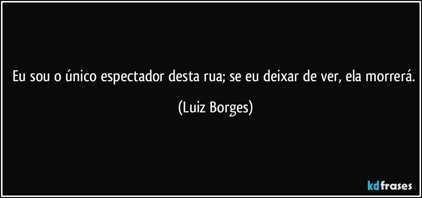 Eu sou o único espectador desta rua; se eu deixar de ver, ela morrerá. (Luiz Borges)