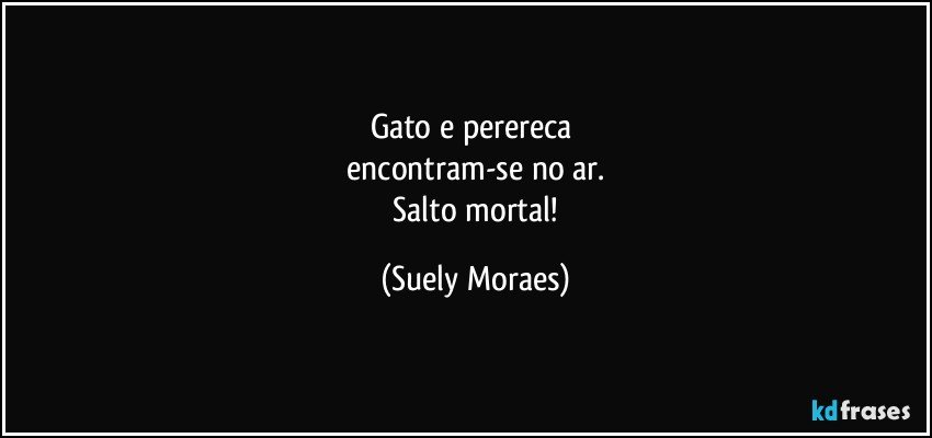 Gato e perereca 
 encontram-se no ar. 
 Salto mortal! (Suely Moraes)