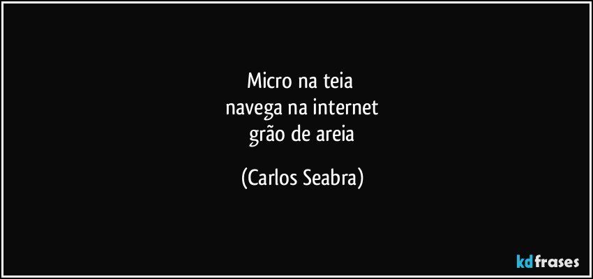 micro na teia 
 navega na internet 
 grão de areia (Carlos Seabra)