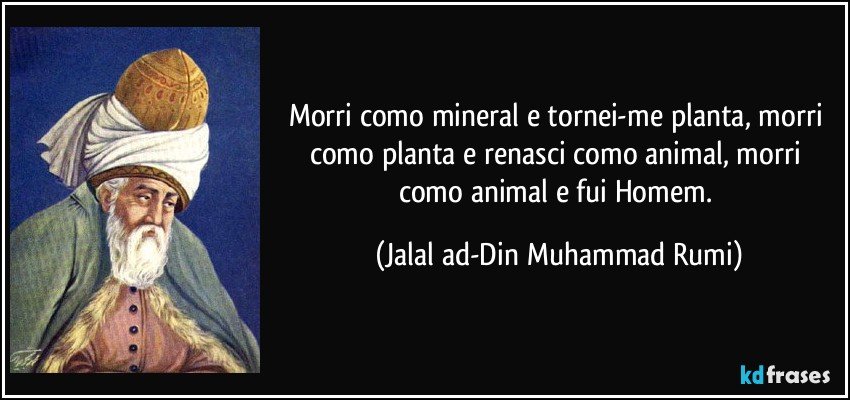 Morri como mineral e tornei-me planta, morri como planta e renasci como animal, morri como animal e fui Homem. (Jalal ad-Din Muhammad Rumi)