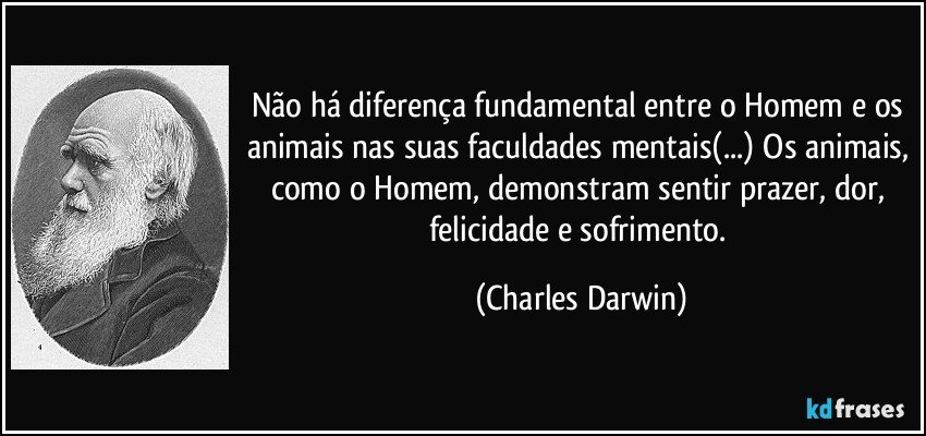 Não há diferença fundamental entre o Homem e os animais nas suas faculdades mentais(...) Os animais, como o Homem, demonstram sentir prazer, dor, felicidade e sofrimento. (Charles Darwin)