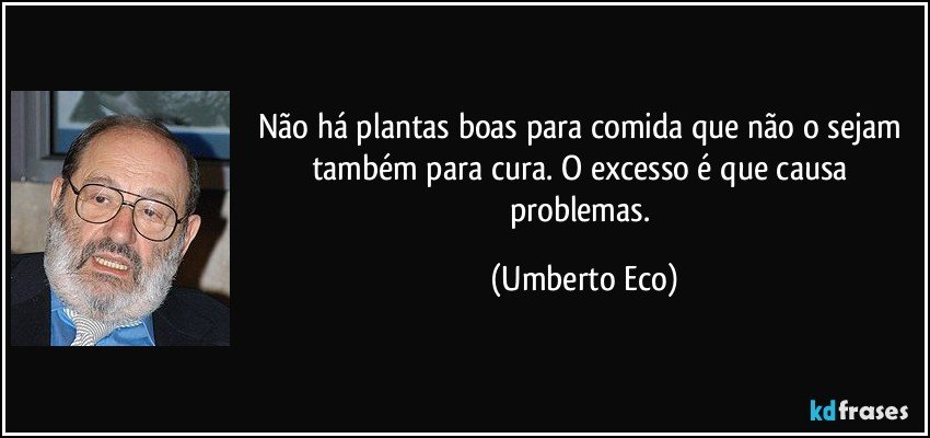 Não há plantas boas para comida que não o sejam também para cura. O excesso é que causa problemas. (Umberto Eco)
