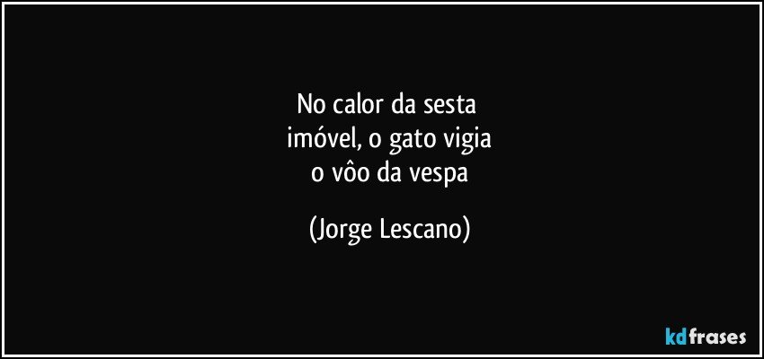 no calor da sesta 
 imóvel, o gato vigia 
 o vôo da vespa (Jorge Lescano)