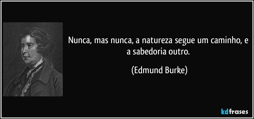 Nunca, mas nunca, a natureza segue um caminho, e a sabedoria outro. (Edmund Burke)