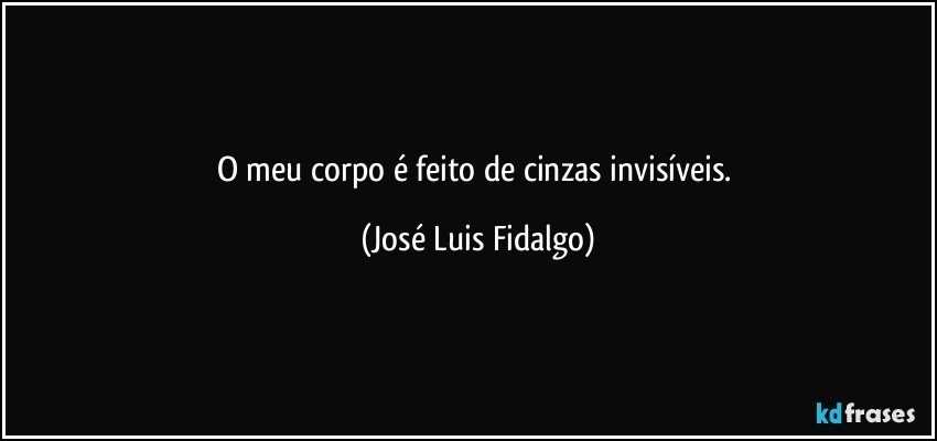 O meu corpo é feito de cinzas invisíveis. (José Luis Fidalgo)