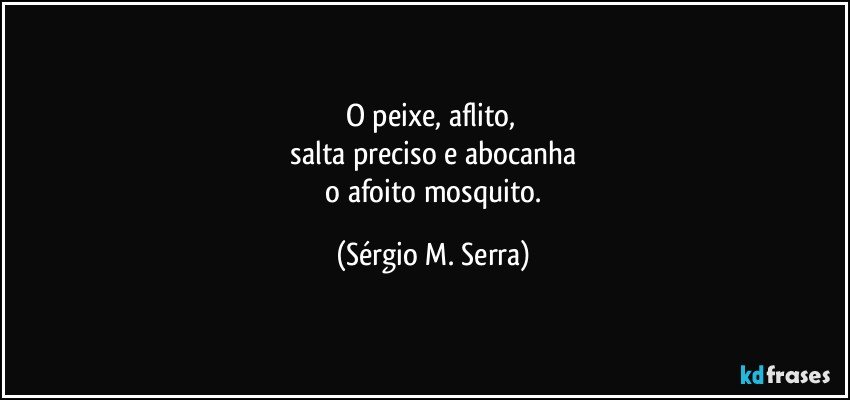 O peixe, aflito, 
 salta preciso e abocanha 
 o afoito mosquito. (Sérgio M. Serra)