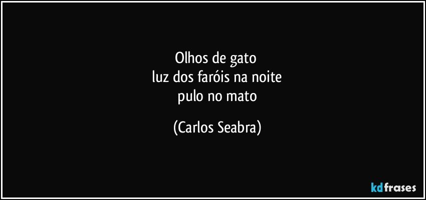olhos de gato 
 luz dos faróis na noite 
 pulo no mato (Carlos Seabra)