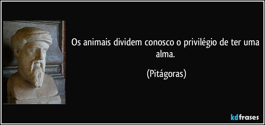 Os animais dividem conosco o privilégio de ter uma alma. (Pitágoras)