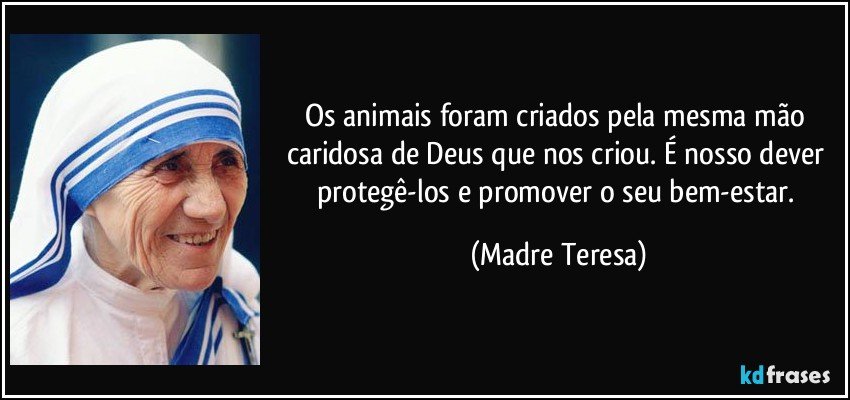Os animais foram criados pela mesma mão caridosa de Deus que nos criou. É nosso dever protegê-los e promover o seu bem-estar. (Madre Teresa)