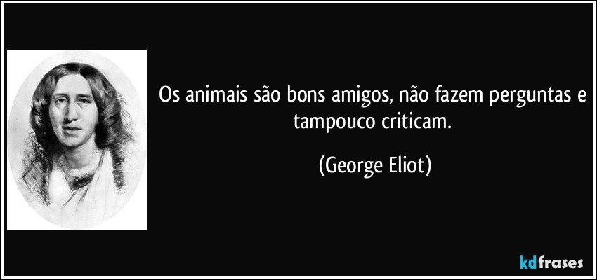 Os animais são bons amigos, não fazem perguntas e tampouco criticam. (George Eliot)