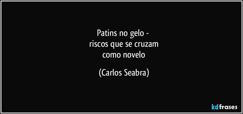 patins no gelo - 
 riscos que se cruzam 
 como novelo (Carlos Seabra)