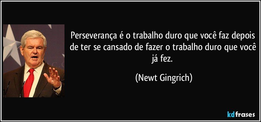 Perseverança é o trabalho duro que você faz depois de ter se cansado de fazer o trabalho duro que você já fez. (Newt Gingrich)