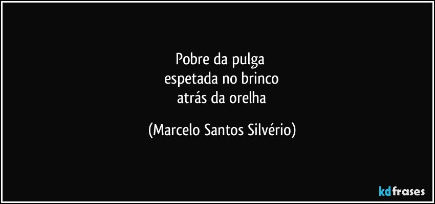 pobre da pulga 
 espetada no brinco 
 atrás da orelha (Marcelo Santos Silvério)
