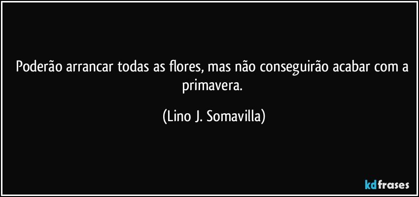 Poderão arrancar todas as flores, mas não conseguirão acabar com a primavera. (Lino J. Somavilla)