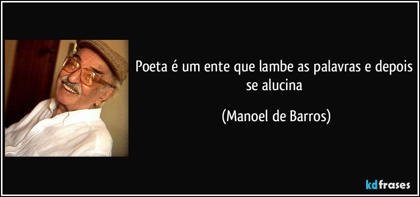Poeta é um ente que lambe as palavras e depois se alucina (Manoel de Barros)