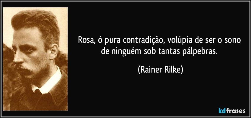 Rosa, ó pura contradição, volúpia/ de ser o sono de ninguém sob tantas/ pálpebras. (Rainer Rilke)