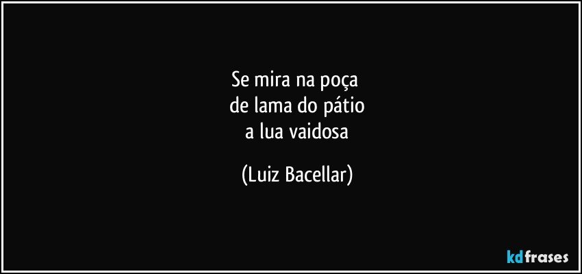 Se mira na poça 
 de lama do pátio 
 a lua vaidosa (Luiz Bacellar)