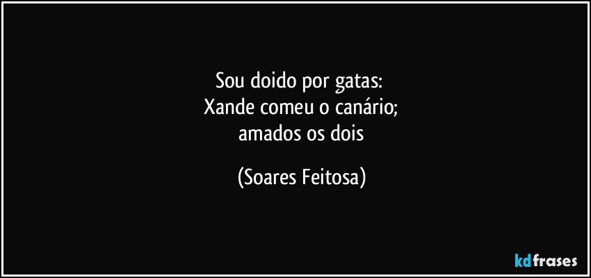 Sou doido por gatas: 
 Xande comeu o canário; 
 amados os dois (Soares Feitosa)