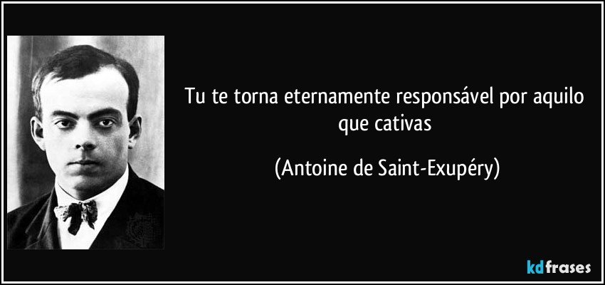 Tu te torna eternamente responsável por aquilo que cativas (Antoine de Saint-Exupéry)